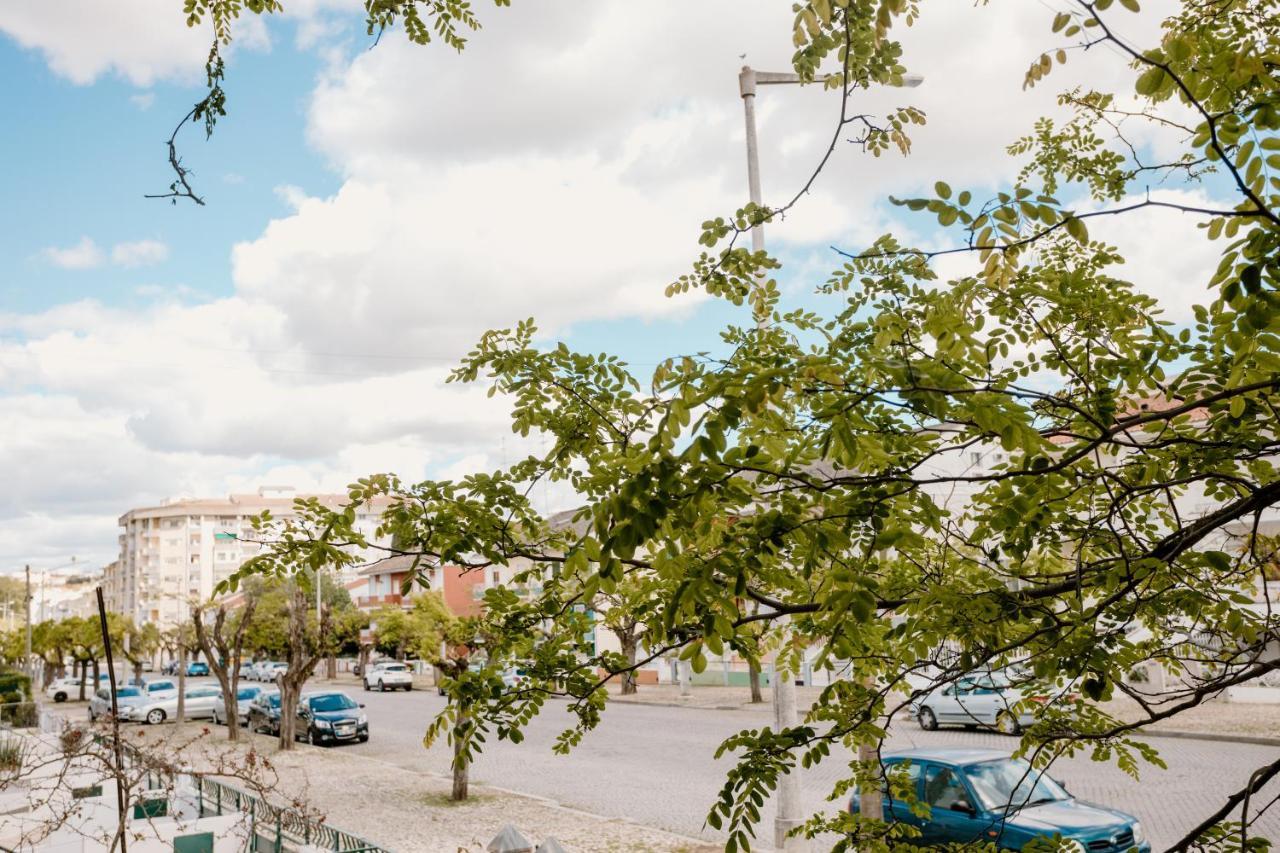 Avenida Elvas